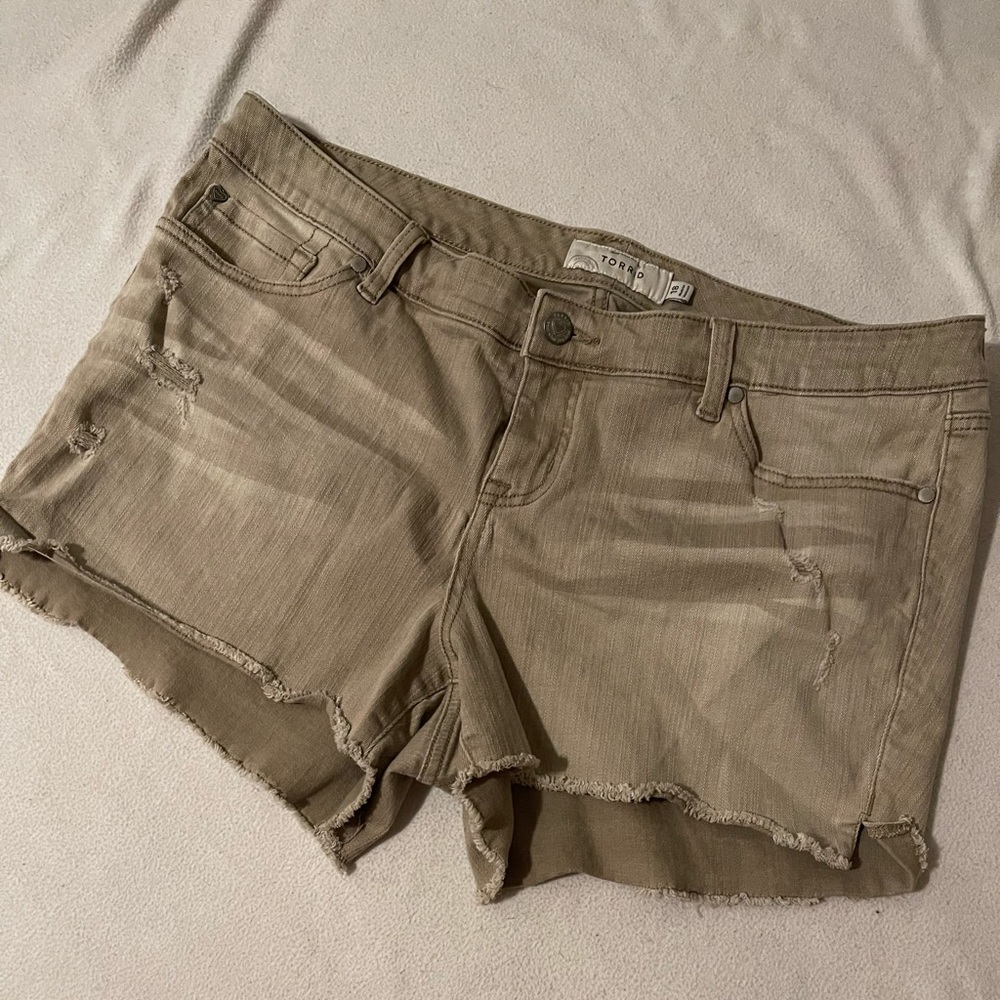 Torrid Shorts